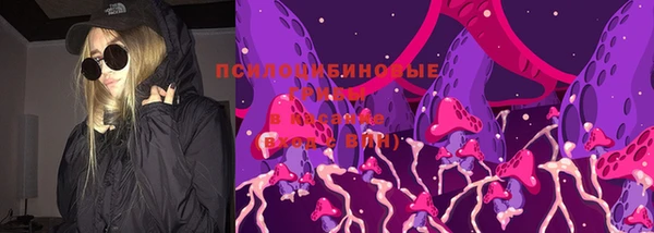 apvp Пестово