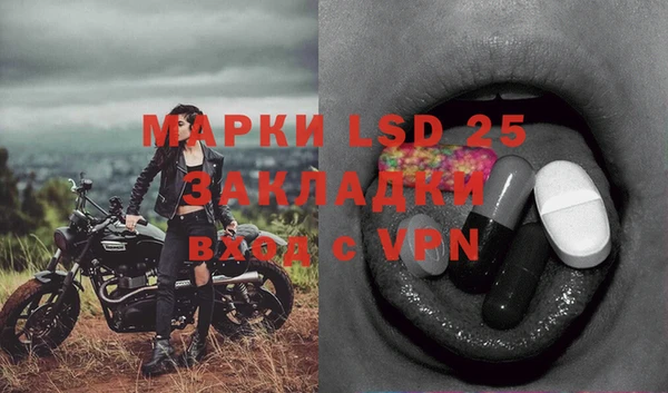apvp Пестово