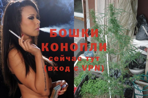 spice Пересвет