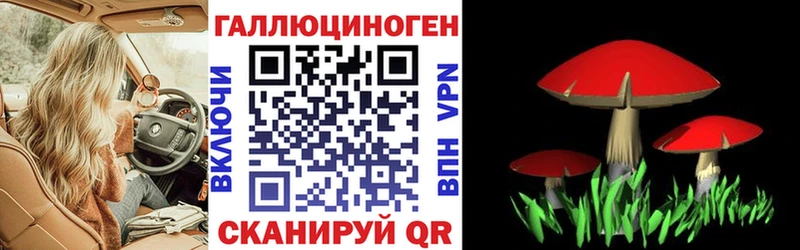 гидра онион  Краснозаводск  Псилоцибиновые грибы ЛСД 