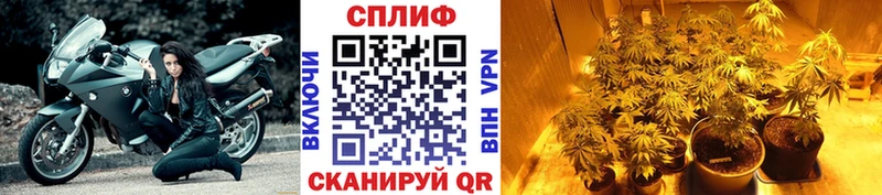 закладка  Краснозаводск  МАРИХУАНА конопля 